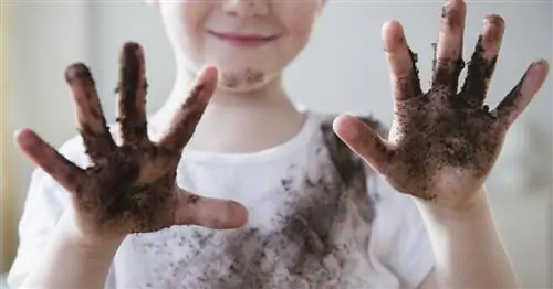 Эта ужасная вирусная фотография показывает, сколько бактерий находится на руках вашего ребенка