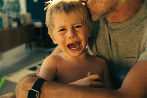 Папа утешает плачущего ребенка, целуя его в голову.