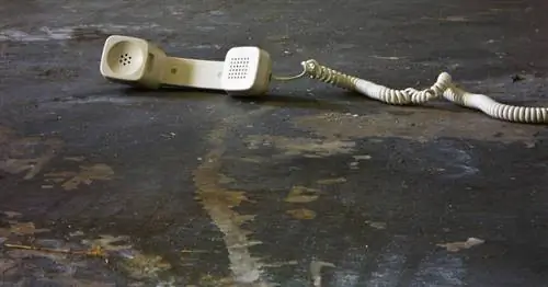 Стационарный «телефон» Телефон, умер в возрасте 141 года