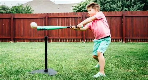 молодежные бейсбольные биты