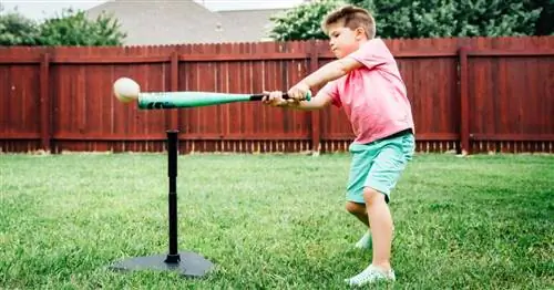 Лучшие биты для сезона тибола