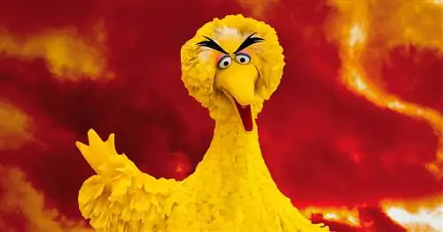 Книги «Улицы Сезам» превращают маппетов в придурков, чтобы преподать детям уроки