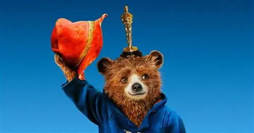 «Паддингтон 2» заслуживает проклятого Оскара