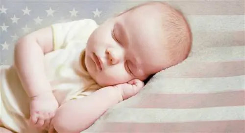 законы о гражданстве