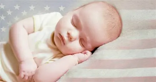 Законы о гражданстве, которые должен знать каждый будущий родитель