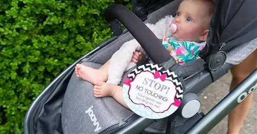 Знаки «Не трогай моего ребенка» не работают, потому что Etsy слишком милый