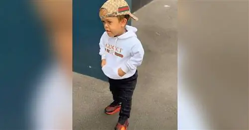 Запугивание Квадена Бейлса было настоящим. Но сколько получает от этого прибыль его матери?