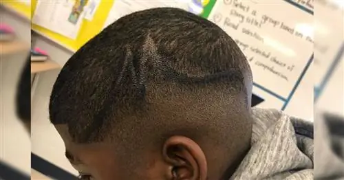 Заместитель директора средней школы отправлен в отпуск за то, что заставил ученика подкрасить волосы черным маркером