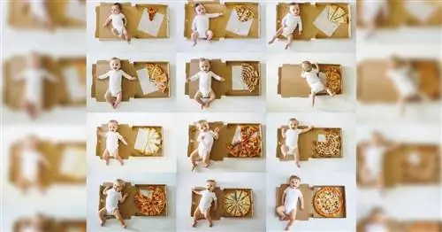 Первый год жизни этого ребенка был задокументирован с помощью кусочков пиццы