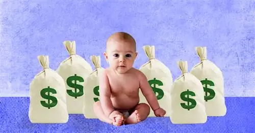 Стоимость интенсивного воспитания наносит ущерб среднему классу