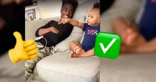 Это вирусное видео папы, разговаривающего со своим ребенком, забавно. Это также показывает хорошую тактику воспитания