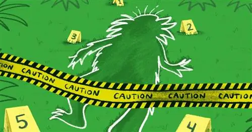 «Лоракс» и изменение климата: хороша ли эта детская книга?