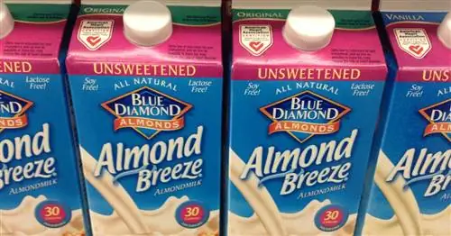 Все, что вам нужно знать об отзыве миндального молока