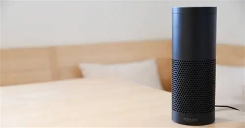 Сотрудники Amazon, как сообщается, шпионят за вашей семьей с помощью Alexa