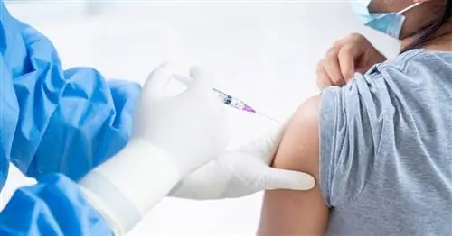 Нетерпеливые родители: как запланировать вакцинацию вашего ребенка от Covid-19 прямо сейчас