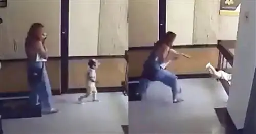 Сверхчеловеческие рефлексы мамы спасают ее сына от падения с четырех этажей