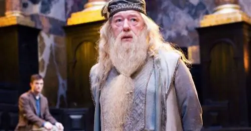 15 цитат Дамблдора, которые родители должны пересмотреть