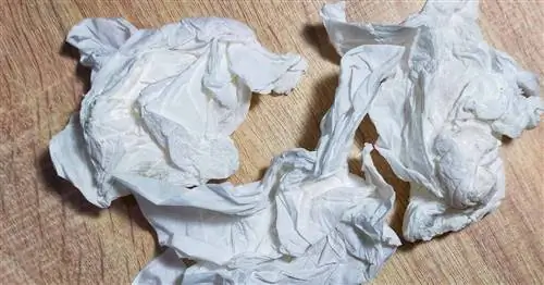 Сезон гриппа вот-вот станет очень, очень плохим, говорят эксперты