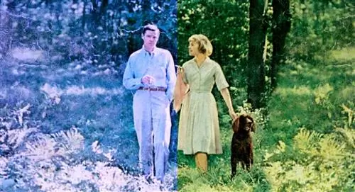 признаки развода