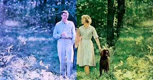 10 признаков того, что пара движется к разводу, по словам консультанта по вопросам брака