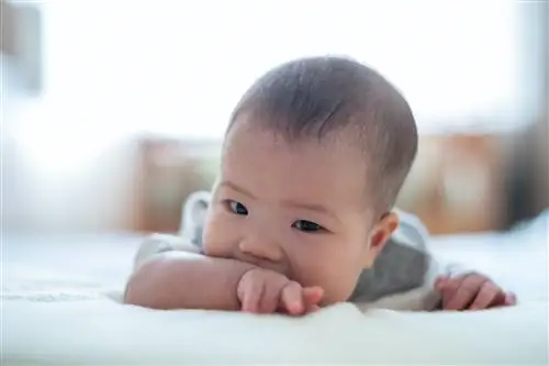 Азиатский милый ребенок лежит на кровати