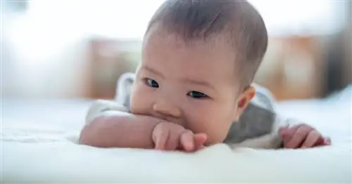 155 уникальных отчества для мальчиков, которые до сих пор звучат знакомо