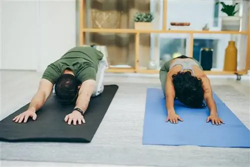 Снимок молодой пары, занимающейся йогой вместе в детской позе дома.