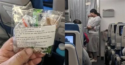 Мама, летевшая с ребенком, раздала подарочные пакеты другим пассажирам