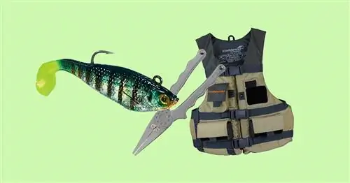 Лучшие рыболовные снасти для детей, которые изучают спорт