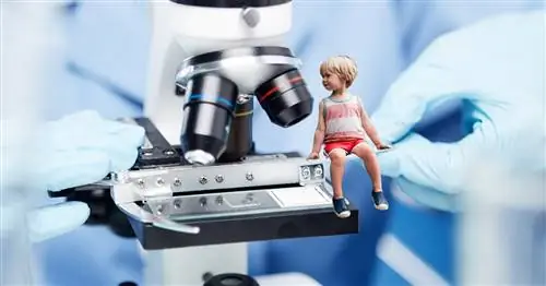 Как (этично) экспериментировать над своей семьей во время карантина