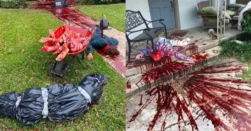 Парень создает кровавое украшение для Хэллоуина. Копы продолжают звонить