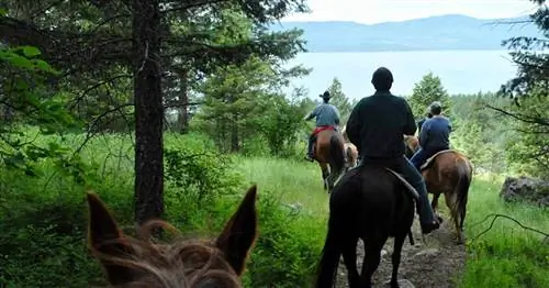 13 лучших курортов для семейного отдыха с системой «все включено» в США