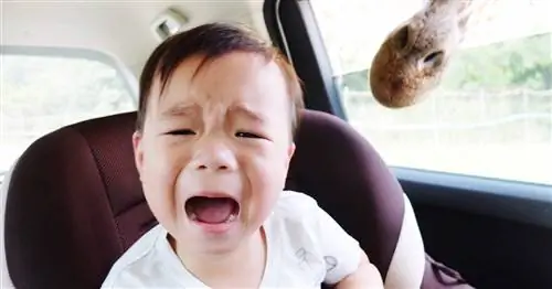 Почему разыгрывать ребенка глупо и опасно