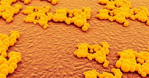 Эта инфекция ежегодно убивает около 150 000 детей