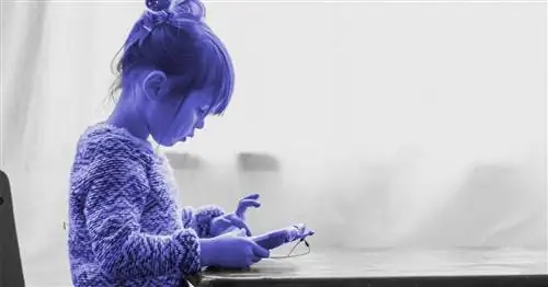 4 самых вредных мифа о детях, экранном времени и технологиях