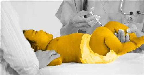 Как найти таблицу обязательных прививок для вашего ребенка