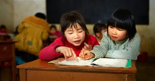 Только ли дети более эгоистичны, чем те, у кого есть братья и сестры?