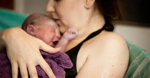 После вирусного TikTok мамы откровенно откровенничают о родах в Twitter