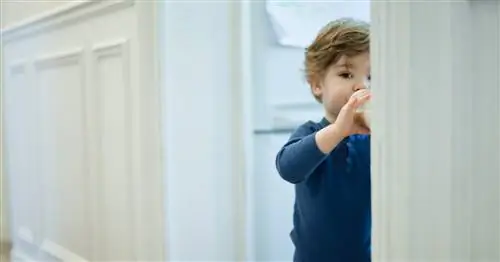 Сколько молока должен пить малыш? Педиатры объясняют