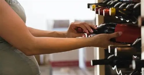 Так ли вреден случайный бокал вина во время беременности?