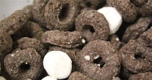 Oreo O возвращаются в Америку, но стоит ли вам беспокоиться?