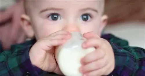 Формула: все, что вам нужно знать