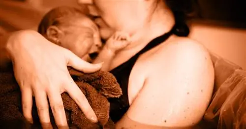 Безопасны ли домашние роды? Новое исследование взвешивает доказательства