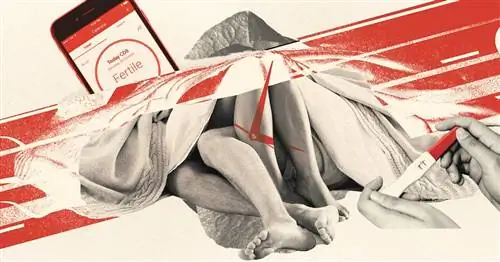 Сколько времени нужно, чтобы забеременеть? Руководство для пробников