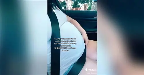 TikTok показывает, как пристегиваться ремнем безопасности за рулем во время беременности