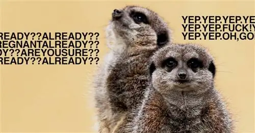 Эти «родительские клятвы» помогают нашему браку оставаться на плаву после рождения детей