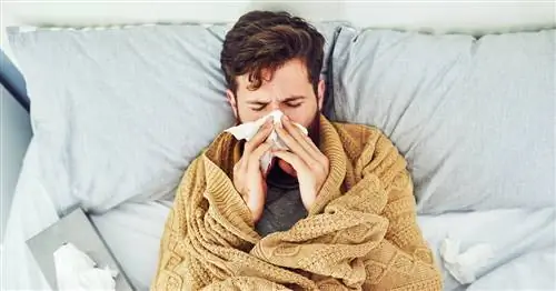 Почему люди пахнут, когда они больны