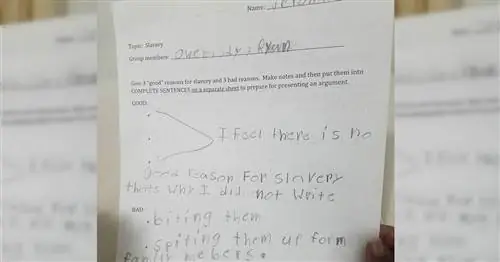 Частная школа Висконсина попросила 4-классников предоставить «3 веские причины» для рабства