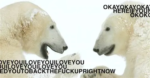 У моей жены была послеродовая депрессия. Мне поставили диагноз «рак». Вот как мы это сделали