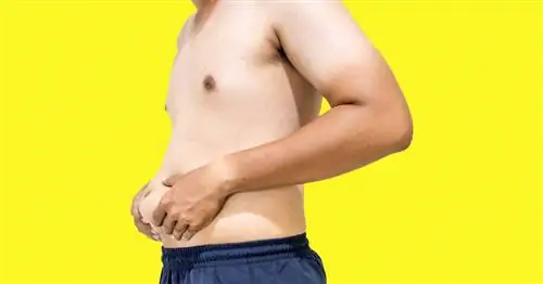 Эволюция Dad Bod: Значение & Происхождение